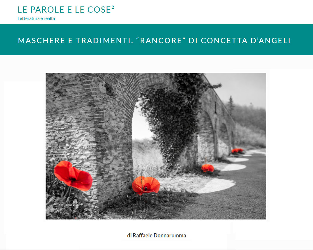 grafica tratta da Le Parole e le Cose